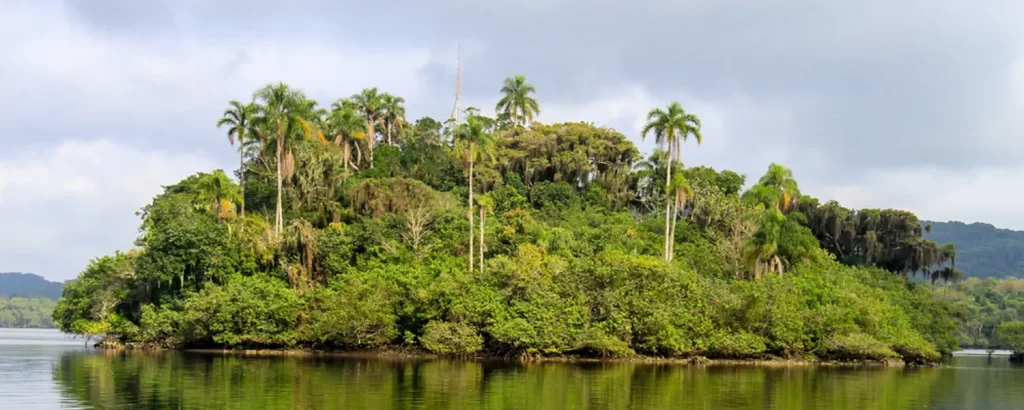 Visitar o Parque Estadual Ilha do Cardoso em matinhos